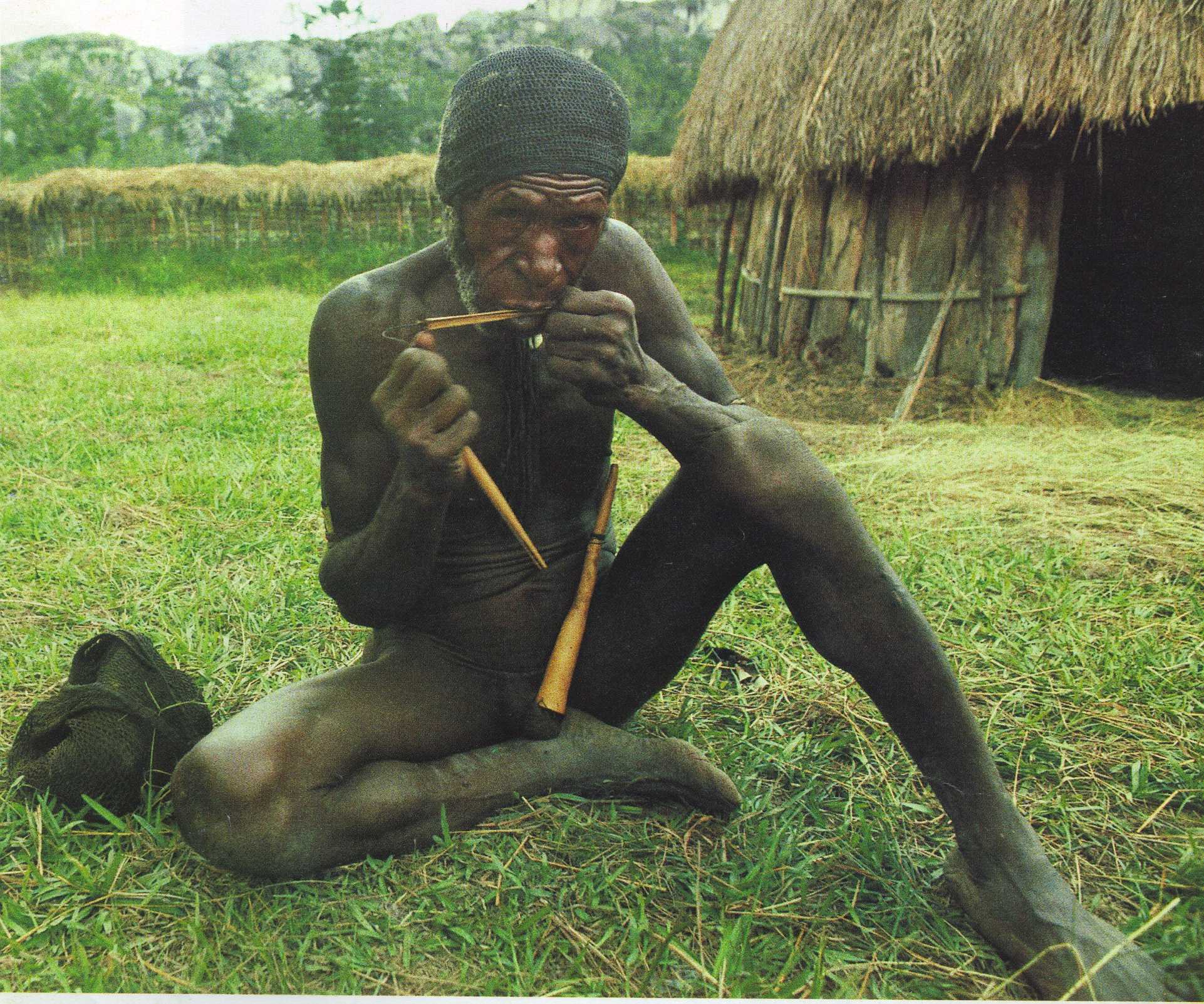 Pikon, alat musik tradisional Suku Dani.