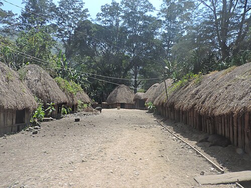Kompleks rumah Honai suku Dani di sekitar Wamena, Lembah Baliem.
