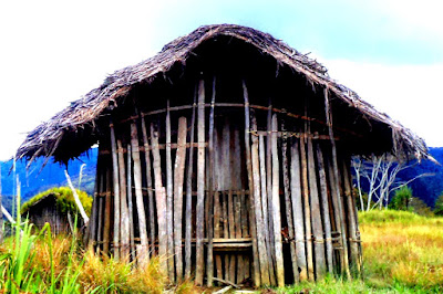 Rumah Yame Owaa (Yamewa), rumah khusus laki-laki masyarakat Mee. Foto: Kabar Wagadey; fotografer dan lisensi tidak dicantumkan.