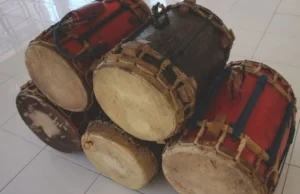 Gimba dari Sulawesi Tengah